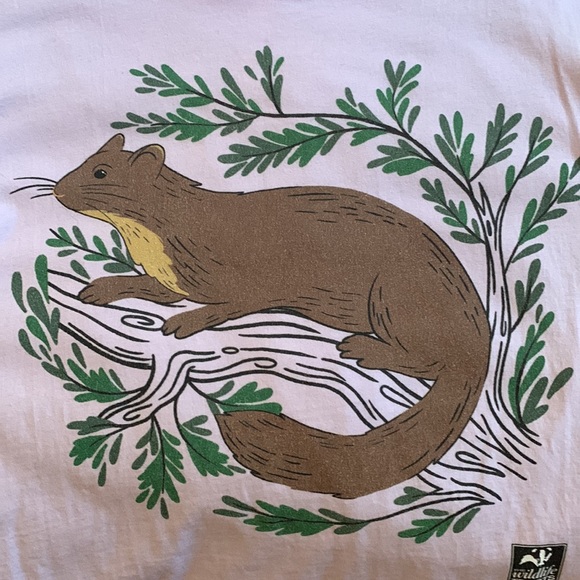 British Wildlife Trusts pine marten t-shirt: - Picture 3 of 5